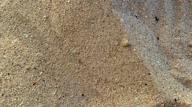 istock Close up view of sand beach texture 1360547617