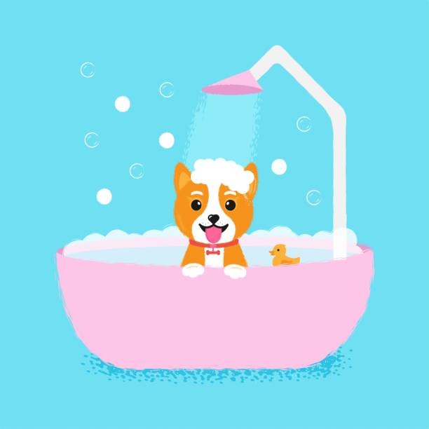 ilustrações de stock, clip art, desenhos animados e ícones de dog grooming - dog bathtub washing puppy