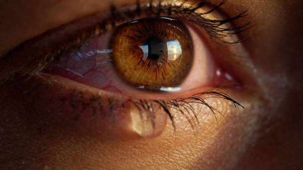 primer plano extremo en un ojo marrón brillante que derrama una lágrima. hermoso rostro femenino - lágrima fotografías e imágenes de stock