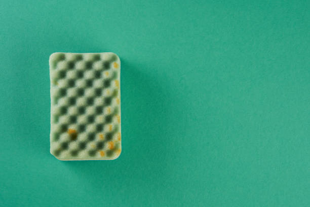 cleaning sponge on  green background