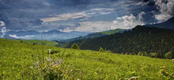 istock Mountains are a great trekking holiday 1360549679
