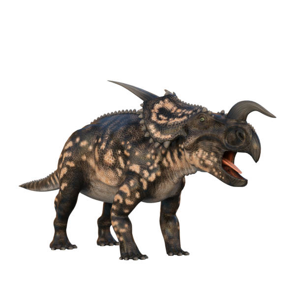 istock Einosaurus Dinosaur. 3D illustration isolated on white background. 1360553852