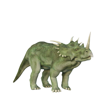 Styracosaurus Dinosaur from the Cretaceous period. 3D illustration isolated on white background.