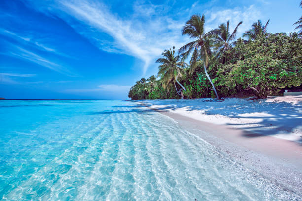 istock Maldives Tropical Island 1360554418
