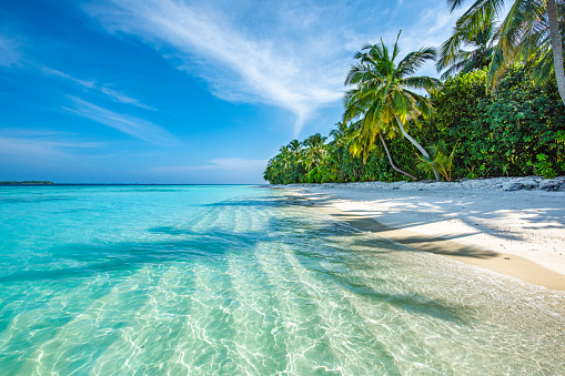 Isla tropical de Maldivas photo