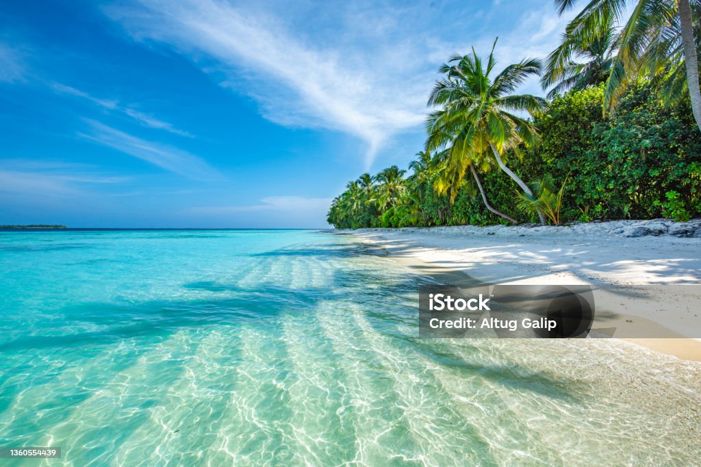 Maldives Tropical Island Beach Stock Photo