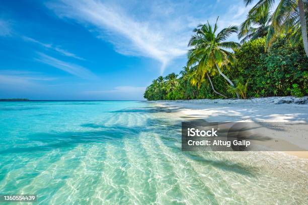 Maldives Tropical Island Stock Photo - Download Image Now - Beach, Maldives, Tropical Climate