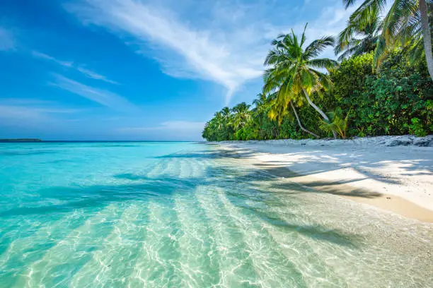 Photo of Maldives Tropical Island