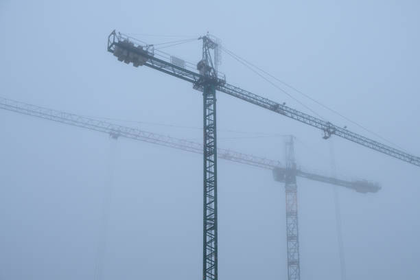 istock Cranes in the fog 1360557460
