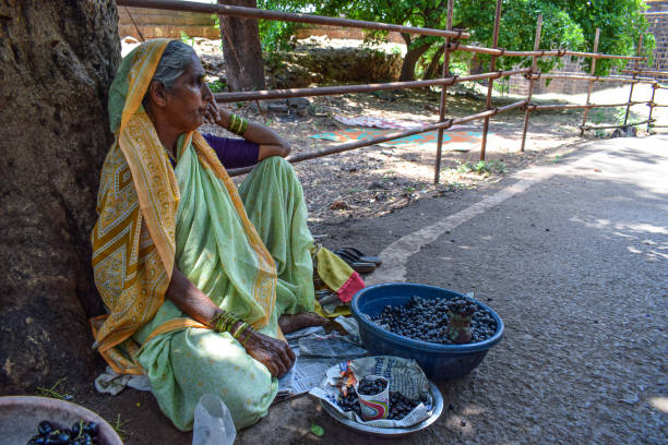 Stock photo of 60 to 70 year old Indian grandma selling fresh black current fruit in the village market area, sitting under tree and waiting for customer at Kolhapur, Maharashtra, India. Kolhapur, India- May 5th 2019;Stock photo of 60 to 70 year old Indian grandma selling fresh black current fruit in the village market area, sitting under tree and waiting for customer at Kolhapur, Maharashtra, India. kolhapur stock pictures, royalty-free photos & images
