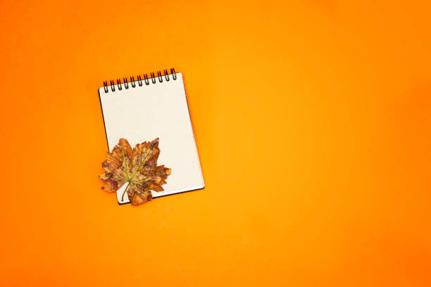 istock empty notebook with autumn leave isolated on orange background. November concept 1360565146
