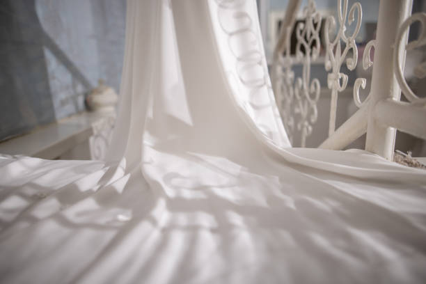 istock Back view of bride while wearing long wedding dress 1360566976