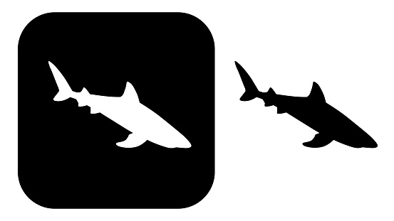 Vector illustration of two black and white shark icons.