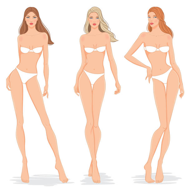 illustrazioni stock, clip art, cartoni animati e icone di tendenza di modelli di moda in posa, illustrazione vettoriale - blond hair women naked bikini