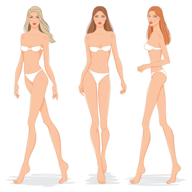 ilustrações de stock, clip art, desenhos animados e ícones de fashion models posing, vector illustration - mannequin naked female doll