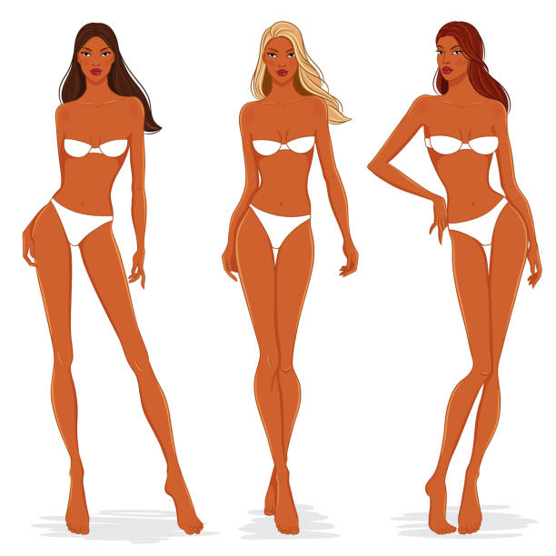 illustrazioni stock, clip art, cartoni animati e icone di tendenza di modelli di moda in posa, illustrazione vettoriale. - blond hair women naked bikini