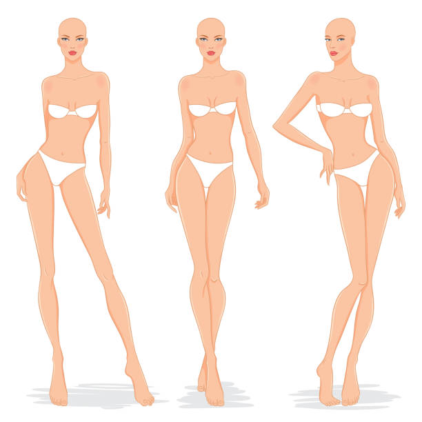 ilustrações de stock, clip art, desenhos animados e ícones de fashion models posing, vector illustration. - mannequin naked female doll