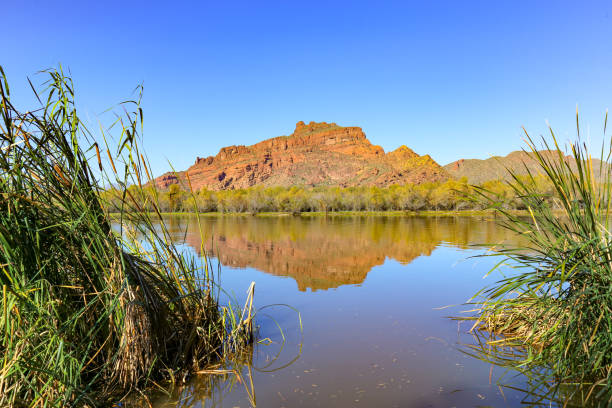 istock Arizona desert north of Phoenix 1360568237