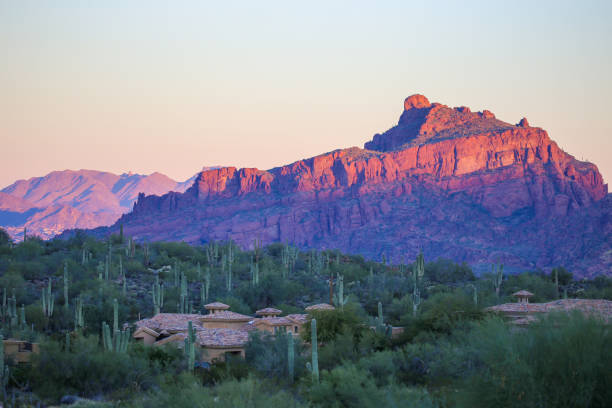 Desert and cactus near Scottsdale, Arizona