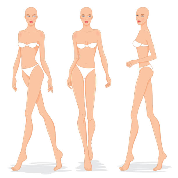 Fashion models posing, vector illustration. Fashion models posing, vector illustration. Women body templates. Nine head fashion female colored croquis for drawing clothing, vector set. catwalk fashion show fashion swimwear stock illustrations