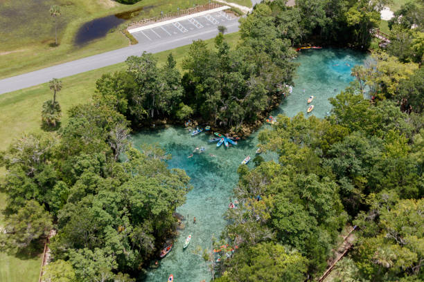 Three Sisters Springs Crystal River Aerial view of the Three Sisters Springs Crystal River Florida photograph taken July 2021 three sisters springs stock pictures, royalty-free photos & images