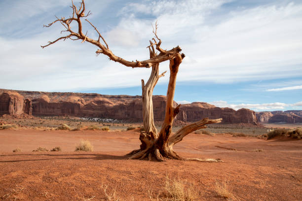istock Mountains of Arizona 1360571188