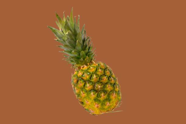 istock Pineapple fruit isolated on brown background. Creative layout made of pineapple. Flying food. Food concept 1360572389
