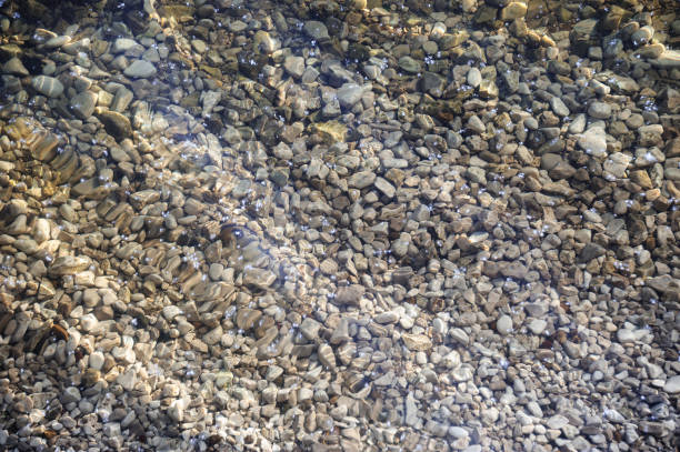 istock Coastal pebbles are visible through the clear water 1360573408