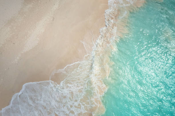 istock Ocean and white sand, empty paradise beach, nature abstract background with copy space for your design, summer holiday concept, natural wallpaper 1360574401