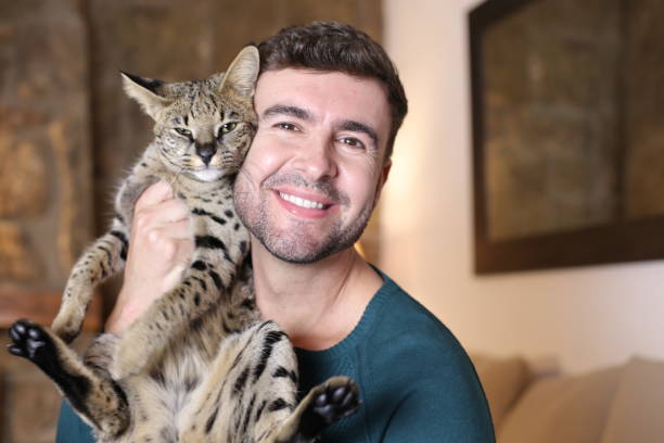 istock Man with pedigreed Savannah cat 1360574725