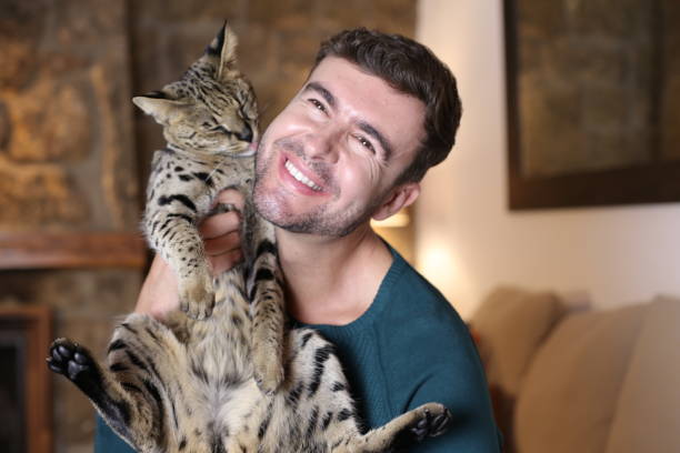 istock Man with pedigreed Savannah cat 1360574738