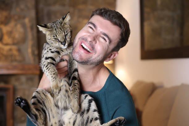 istock Man with pedigreed Savannah cat 1360574739