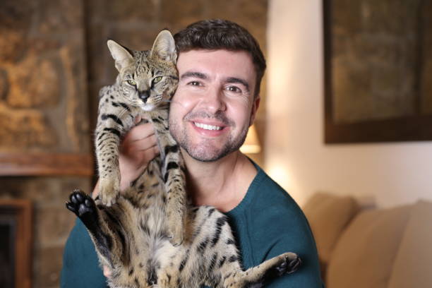 istock Man with pedigreed Savannah cat 1360574742