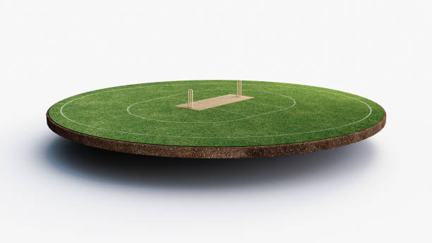 クリケットピッチやボールスポーツゲームフィールド、クリケットシリーズのための草スタジアムやサークルアリーナ、バットマン、ボウラーのための緑の芝生や地面にクリケットスタジア� - lawn ball circle green ストックフォトと画像