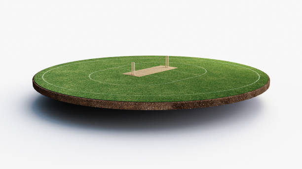 cricket stadium front view on cricket pitch or ball sport game field, grass stadium or circle arena for cricketer series, green lawn or ground for batsman, bowler. outfield 3d illustration - wicket imagens e fotografias de stock