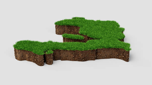 istock Haiti Map Grass and ground texture 3d illustration 1360576572