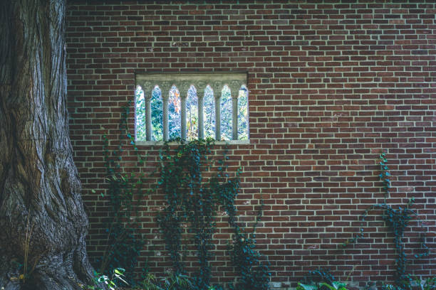 istock Red brick wall with small arched window openings and climbing vine plant 1360584173