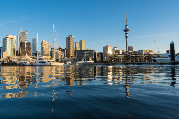 istock Reflection of Auckland skyline in waterfront. 1360586584