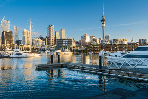 istock Auckland skyline just before sunset. 1360586586