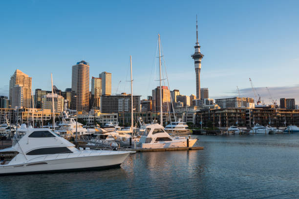istock Auckland city view from west heaven marina. 1360586621
