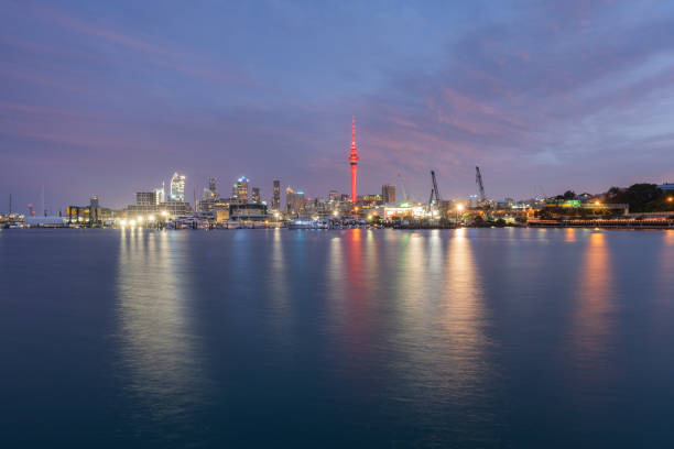 The portrait of Auckland skyline illuminated with lights at night.