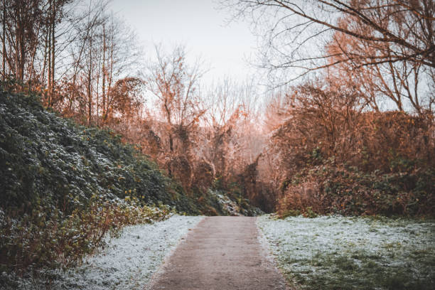 Frosty autumn pathway View on a pathway in Delft on a cold day in late autumn delft winter netherlands snow stock pictures, royalty-free photos & images