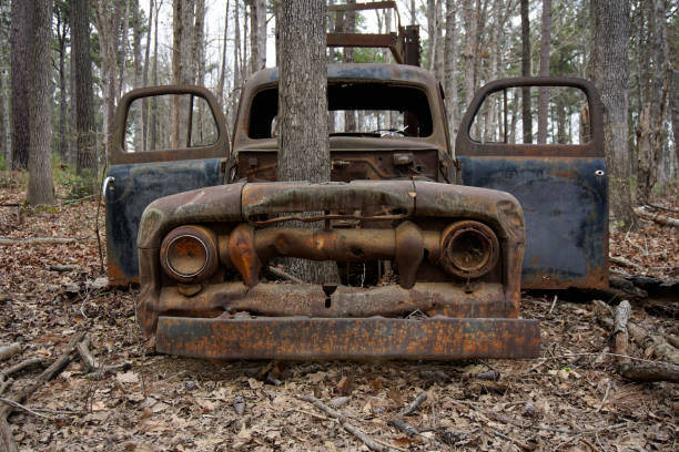 Old pickup truck that has been abandoned in the forest