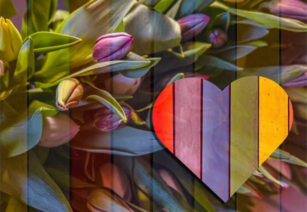 a romantic concept for  valentine's day with a transparent heart and a background of tulip flowers with plenty of copy space