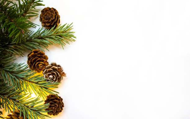 istock Christmas tree branches and cones with decor on the white background. Holiday concept. Flat lay 1360594737