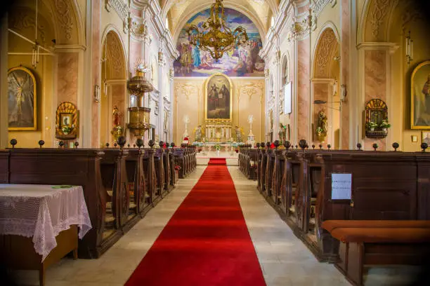 Photo of interior of a cathedral in Baia Mare