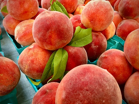 Freshly picked peaches at the local fair