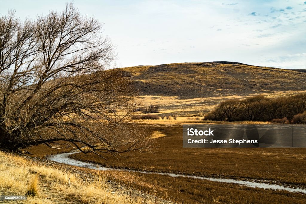 Powder River flowing towards Thief Valley Reservoir in eastern Oregon, USA Powder River flowing towards Thief Valley Reservoir in eastern Oregon, USA during late fall Agricultural Field Stock Photo