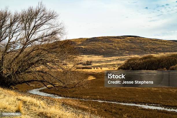 Powder River Flowing Towards Thief Valley Reservoir In Eastern Oregon Usa Stock Photo - Download Image Now