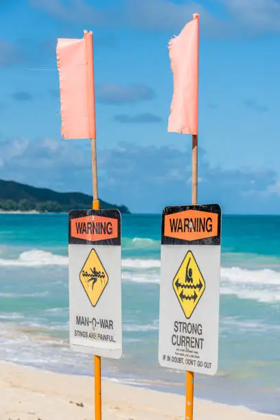 Photo of Man-o-war and strong current warning signs on Waimanalo Beach on Oahu, Hawaii